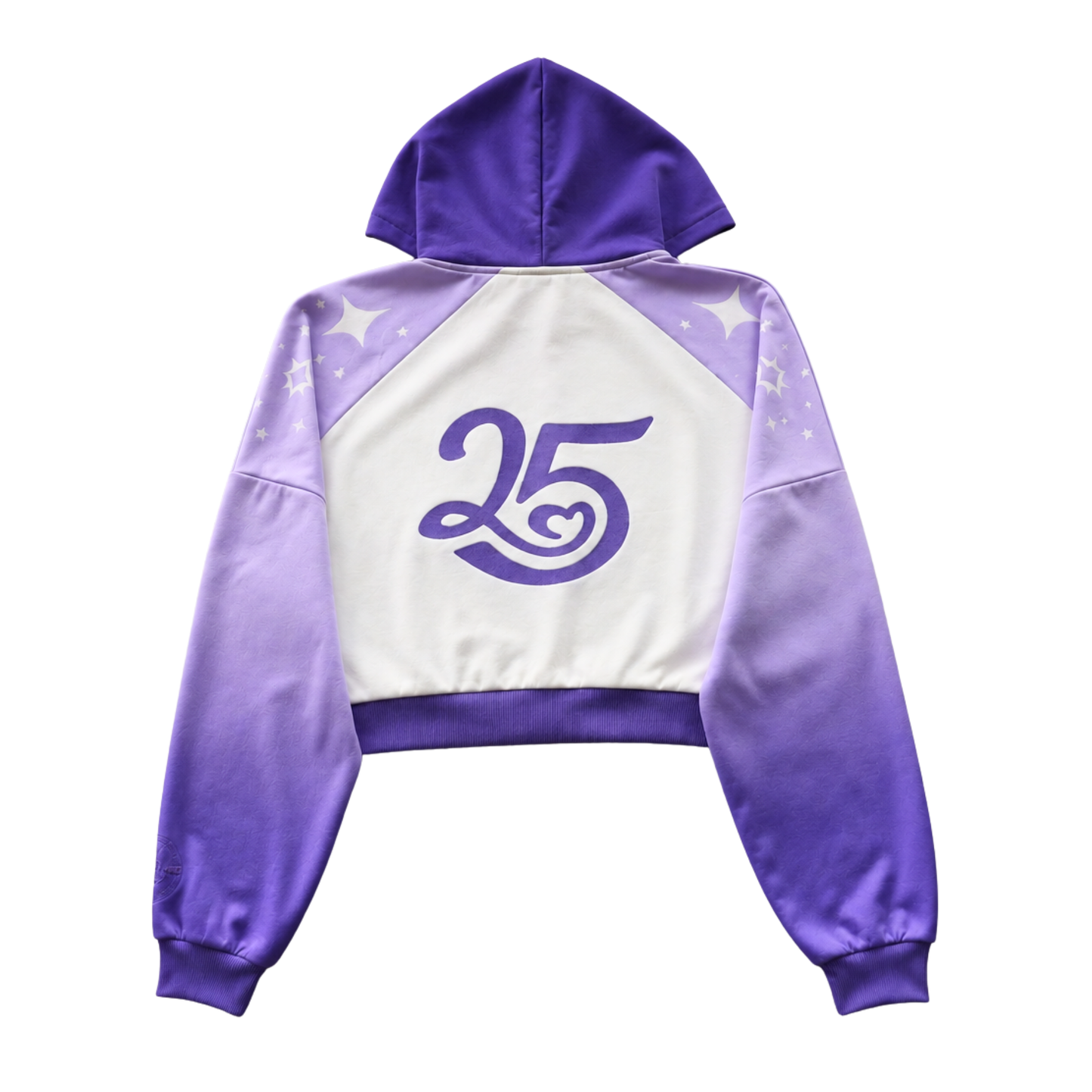 25 Million Aphmau Hoodie