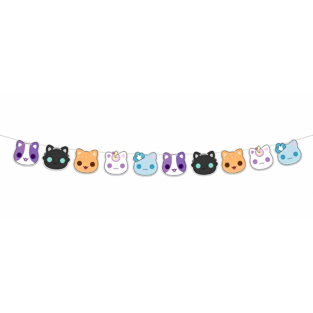 Birthday Party Set